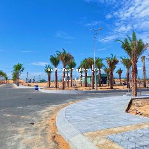 đất view biển giá siêu rẻ.