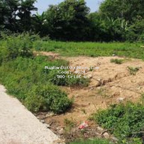 đất xã phước an huyện tuy phước 127m²