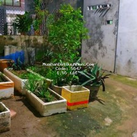 Góc hẻm 1029 trần hưng đạo, 46m2. giá yêu thương