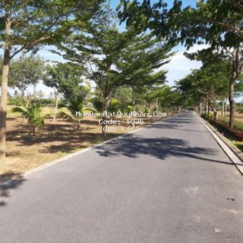 Kỳ co gate way,chiết khấu 13%,tặng 2 chỉ lộc vàng