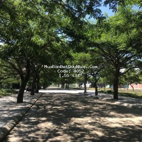 Lô đất đường 22m đối diện chợ đêm tx an nhơn đẹp