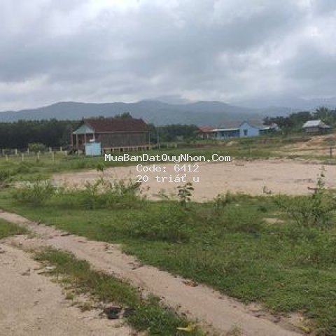 Miễn phí