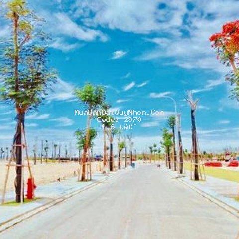 Mt nhơn lý 1, tp qui nhơn, gần kỳ co-eo gió qn