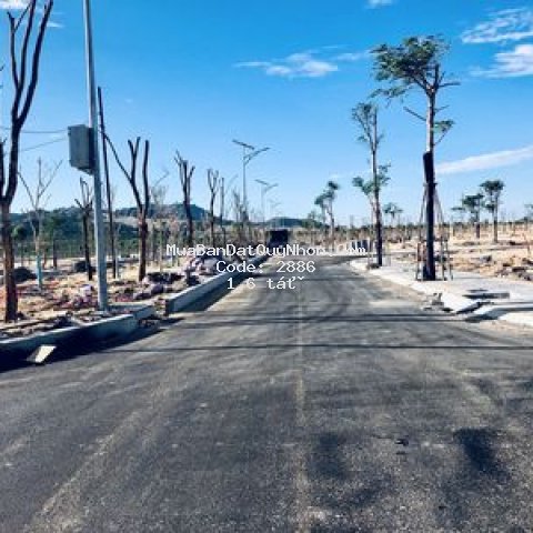 Mt nhơn lý 2, tp qui nhơn, đối diện flc qn, shr
