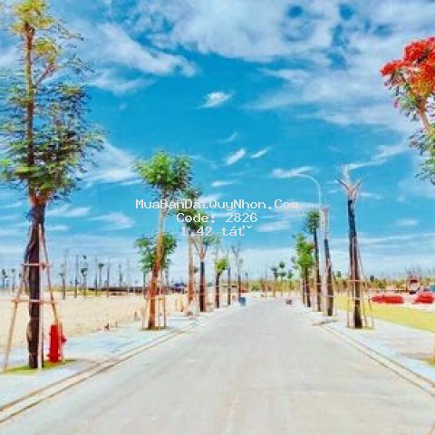 Mt ql 19b, nhơn lý, qui nhơn, ngay nhà máy điện bđ