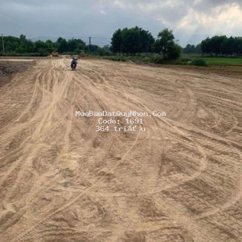 Nền tái định cư thị trấn phù cát, sang cho ai cần