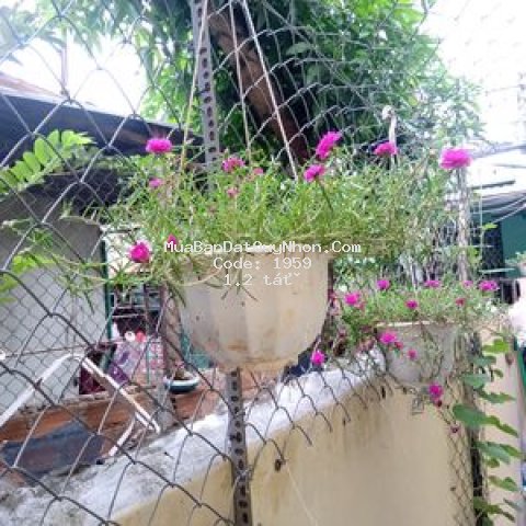 Nhà 1 mê lỡ,thoáng mát,sạch sẽ