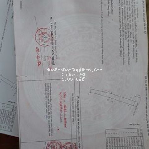 Nhà huyện phù mỹ 190m²