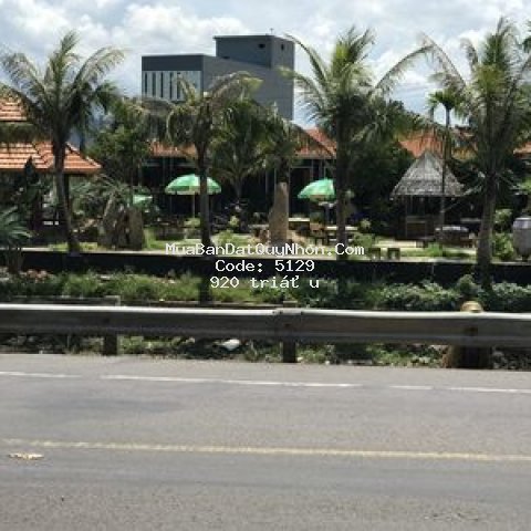 Nhà mặt tiền kinh doanh