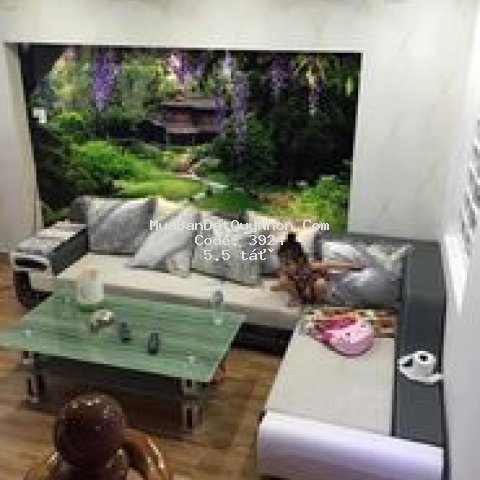 Nhà  mặt tiền lương định của, p. lý thường kiệt