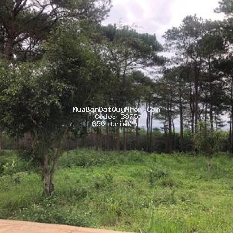 Nhà nhỏ giữa thảo nguyên
