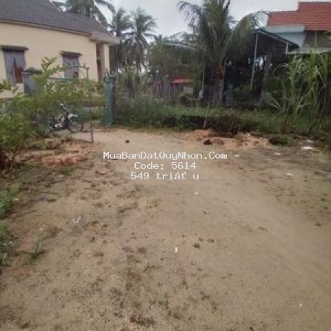 Nhà vườn thị trấn phù mỹ, 600m2