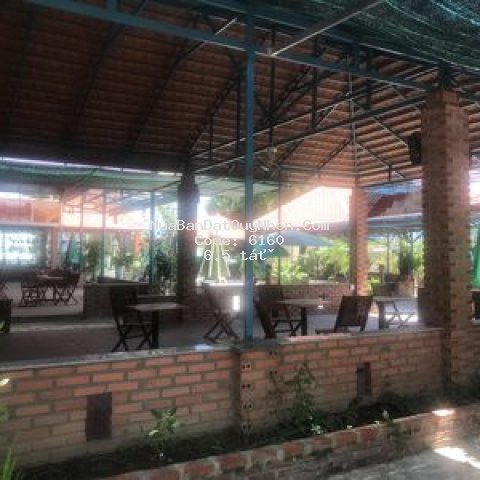 Nhà xưởng,quán dt 1750m2 quốc lộ 1a p bùi thị xuân