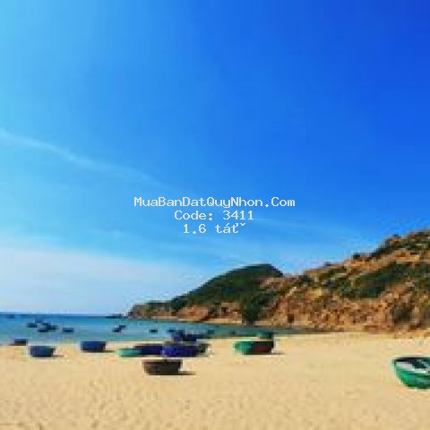 Quy nhơn full phòng mùa du lịch. đất nền giá tốt