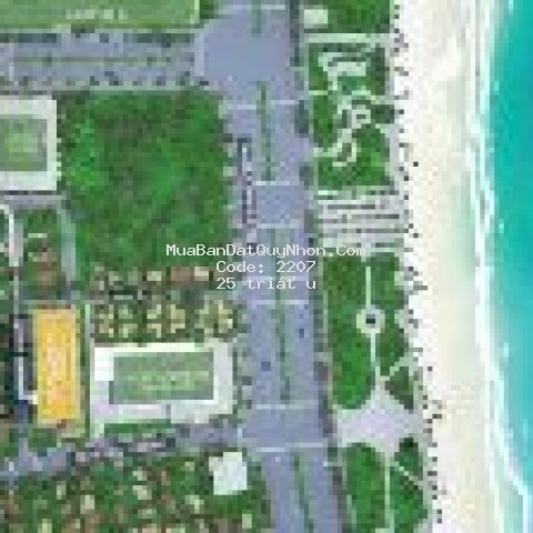 Quy nhơn melody 53m² 1pn - giá f0 từ chủ đầu tư
