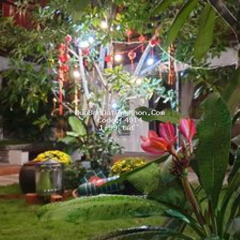 Sang nhượng kinh doanh homestay (chính chủ)
