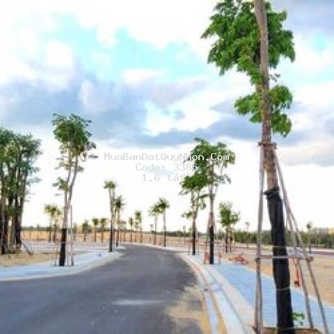 Sở hữu liền tay đất nền ven biển siêu hấp dẫn