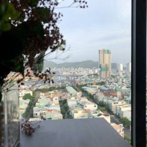Tậu ngay nhà sang với ưu đãi và chiết khấu cực lớn Tậu ngay nhà sang với ưu đãi và chiết khấu cực lớn