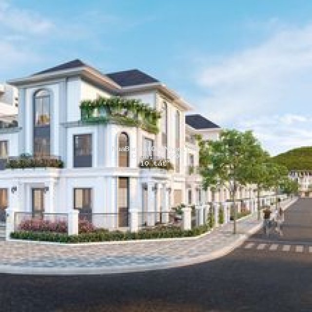 100 biệt thự thành phố qui nhơn 287m² 4pn