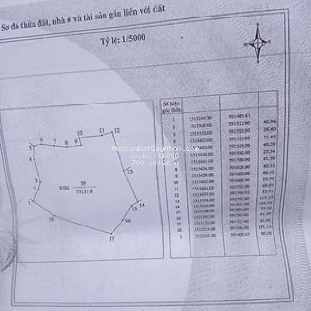 Bà chị cần sang lại một số đất rừng