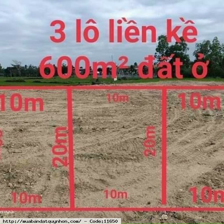 Bán 3 lô đất liền kề xã cát sơn huyện phù cát 💎Diện tích Ngang 10m dài 20m,(200m, funThổ cư) cách tỉnh lộ vài chục mét, Sổ đỏ chính chủ 💲310tr/lô Bán 3 lô đất liền kề xã cát sơn huyện phù cát 💎Diện tích Ngang 10m dài 20m,(200m, funThổ cư) cách tỉnh lộ vài chục mét, Sổ đỏ chính chủ 💲310tr/lô