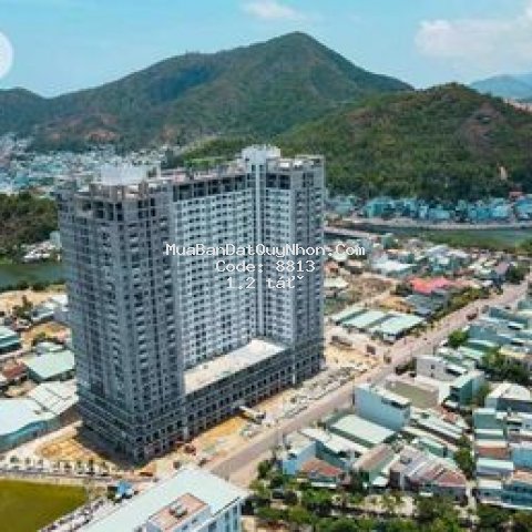 Bán căn hộ xanh ecolife riverside quy nhơn