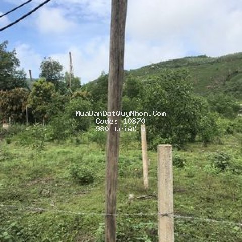 Bán đất cc giá rẻ phước mỹ, tp quy nhơn, 351m2