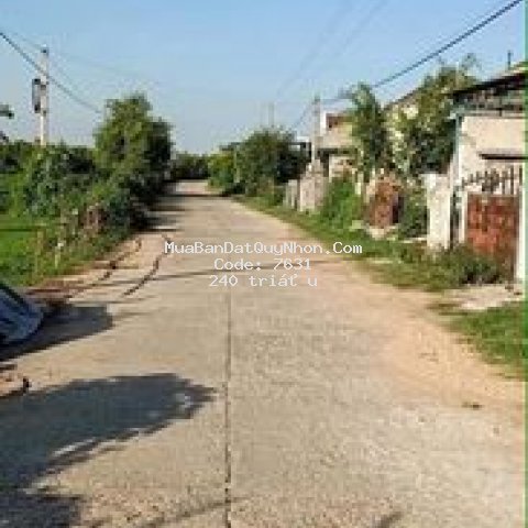 Bán đât gần kdl hầm hô giá 240tr