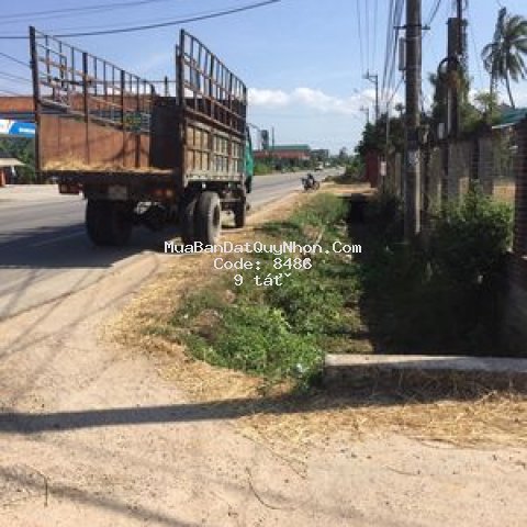 Bán đất mặt tiền quốc lộ 1a thị trấn phù mỹ