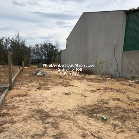 Bán đất ở trong đó có đất vườn