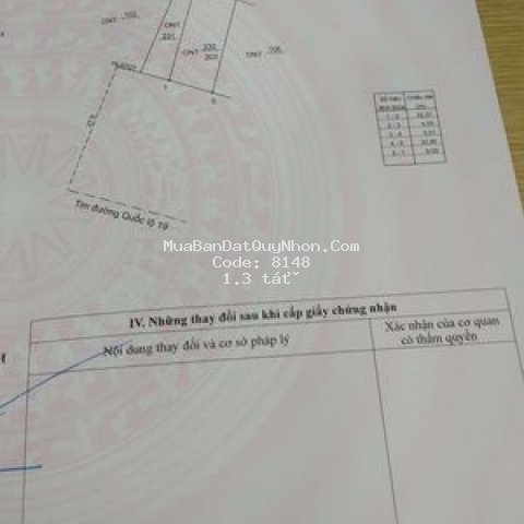 Bán đất quốc lộ 19 _ tây sơn