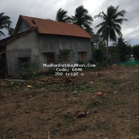 Bán đất quốc lộ 1a thị trấn phù mỹ
