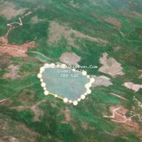 Bán đất rừng phú yên