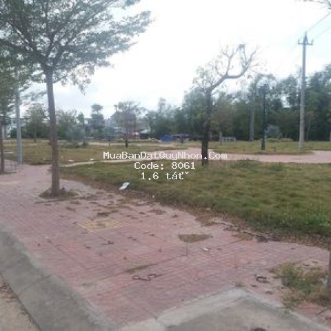 Bán đất trung tâm thị xã an nhơn