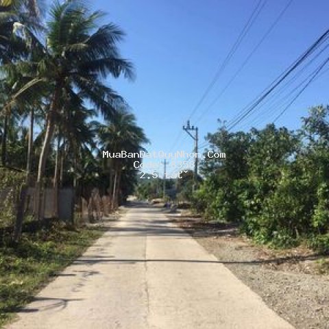 Bán lô đất 7000m2 có 400m2 thổ cư