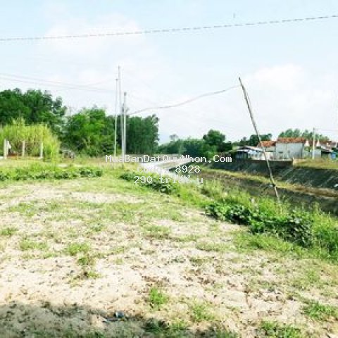 Bán lô đất bình hòa tây sơn bình định 250m2 n5