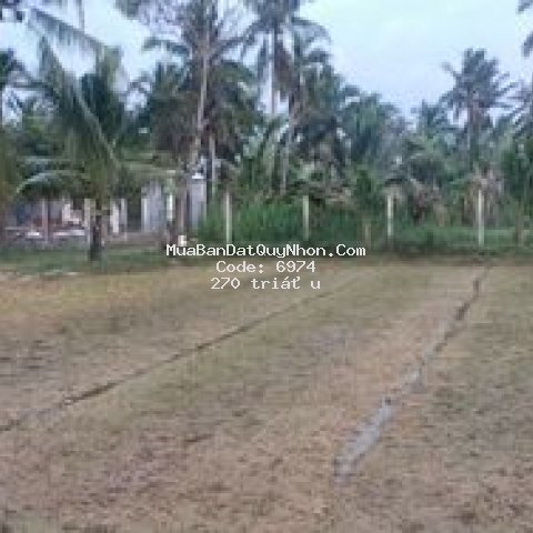 Bán lô đất thôn cự lễ hoài phú