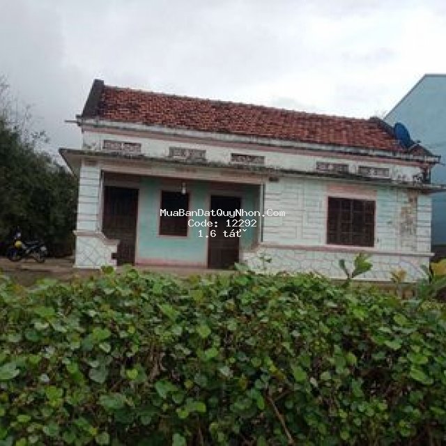 Bán nhà diện tích rộng. xây biệt thự, nhà yến