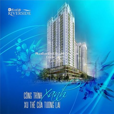 Bán nhà gần trung tâm thành phố quy nhơn Bán nhà gần trung tâm thành phố quy nhơn