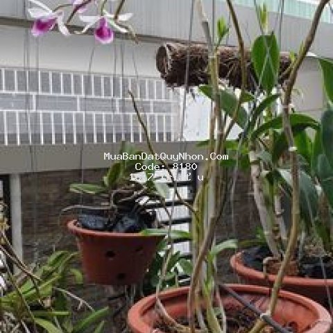 Bán nhà mt 298 nguyễn thái học, rộng 6.5m, dt 104m