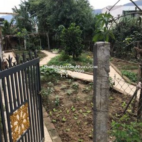 Bán nhà phường nhơn phú 330m2 giá rẻ