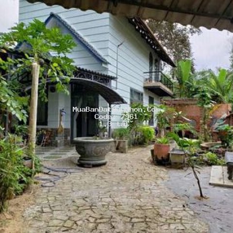 Bán nhà sân vườn tại đô thị an nhơn