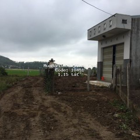 Bán nhà vườn tuy phước gần quốc lộ 19 mới ,qnhon10