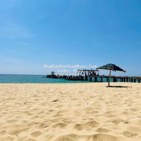 Booking tham quan tặng ngay tuor du lịch quy nhơn