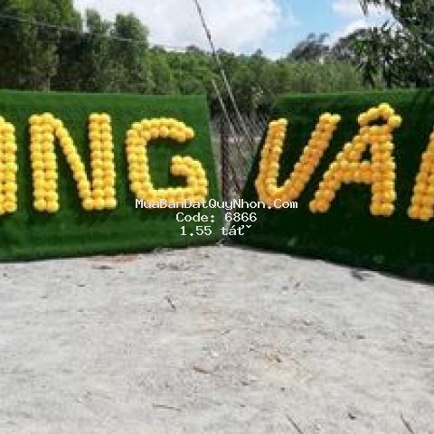 Cần bán gấp đất nền trần quang diệu 100m2