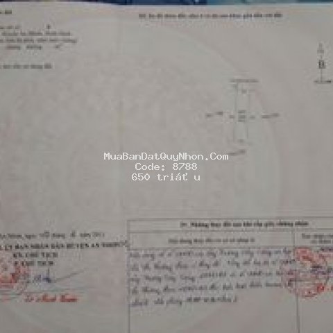 Cần bán gâp đất tại phường nhơn hưng