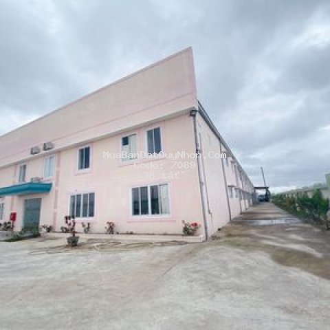 Cần bán nhà xưởng, tuy phước, bình định