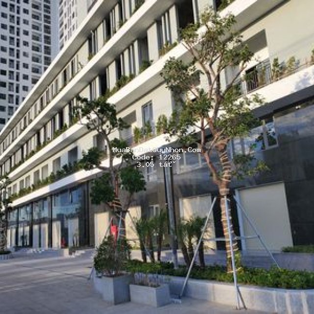 Căn góc tầng trệt chung cư ecolife; quy nhơn