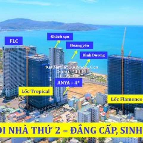 Căn hộ biển quy nhơn giá chỉ 1.65 tỷ/ căn