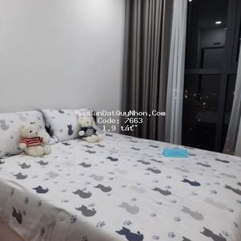 Căn hộ cao cấp 2pn ngay tại trung tâm quy nhơn